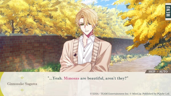 himt-mimosa-beautiful-edit.png