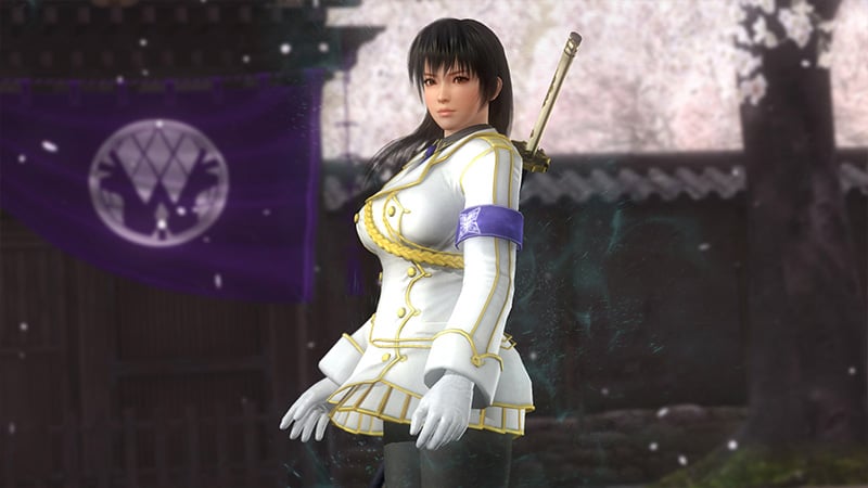 dead or alive 5 last round dlc custome