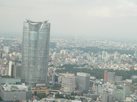 tokyotower06