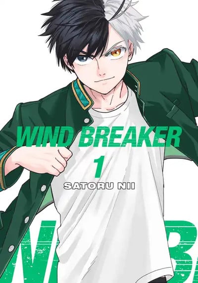 Wind Breaker Manga Gets Monthly Print Graphic Novel Releases in English Starting in July