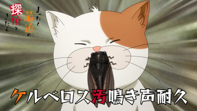 Detectives These Days Are Crazy Anime Casts Chado Horii as Cat Cerberus