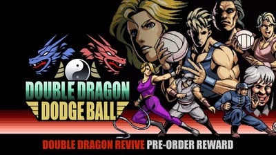 Double Dragon Revive Game Adds Pre-Order Bonus Dodgeball Game