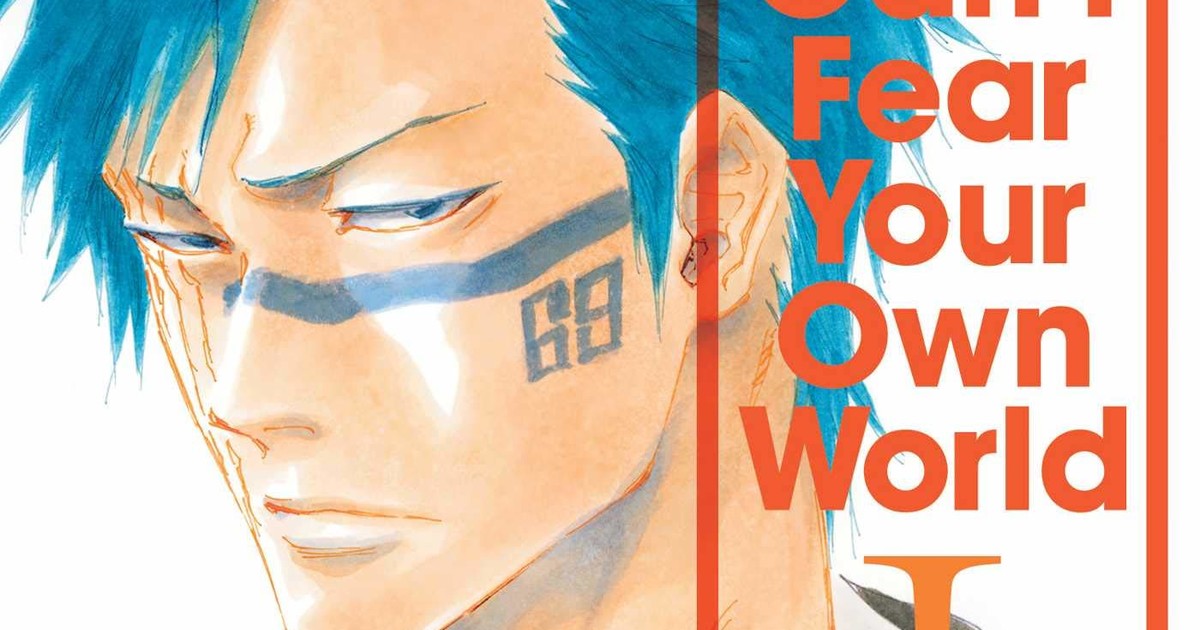 Bleach Can T Fear Your Own World Vol 1 Review Anime News Network