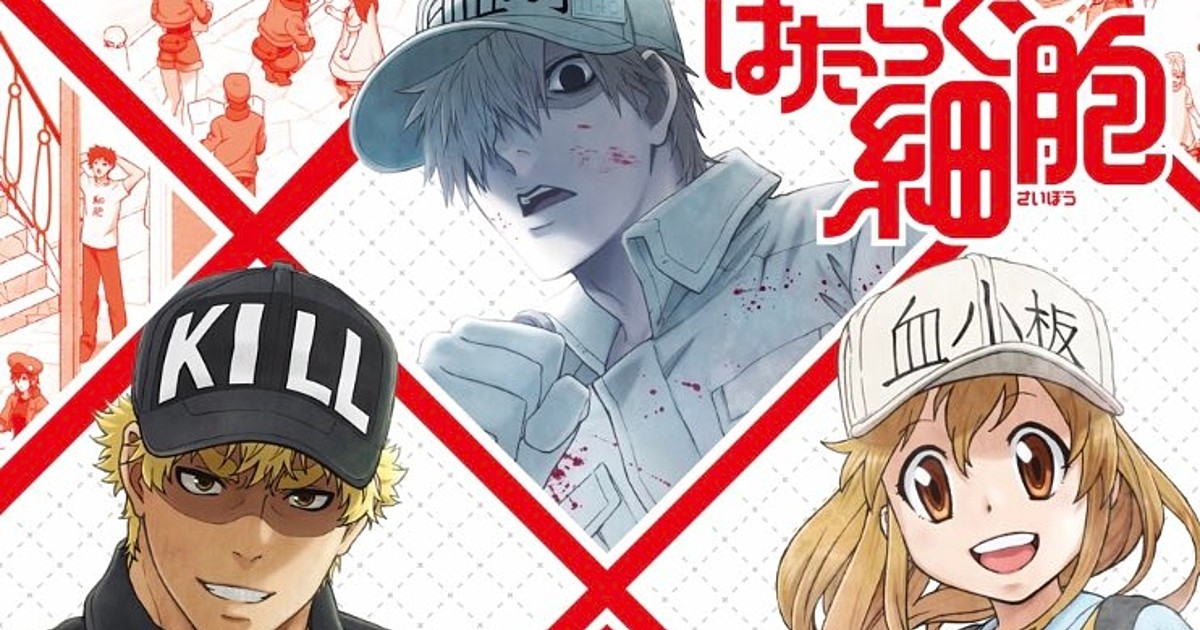 Cells at Work! to Air New Episode on Dec. 27!, Anime News