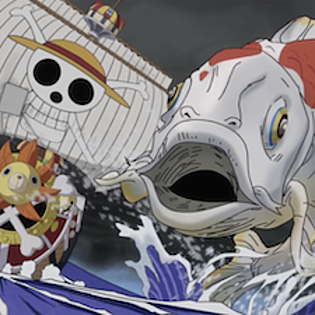 7p Download One Piece Episode 1 Subtitle Indonesia Exclusive Bud Belly