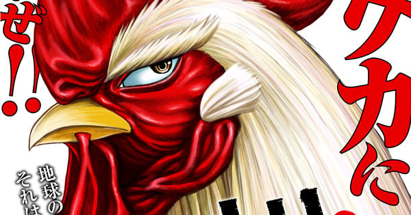 New Battle Action Manga Follows Rooster Who Saves The World Interest Anime News Network