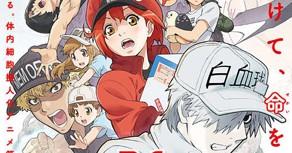 Cells at Work!! The Return of the Strongest Enemy. A Huge Uproar Inside the  Body's Bowels! (2020): Where to Watch and Stream Online