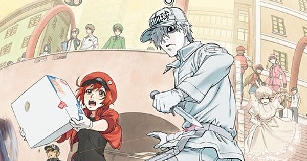 ANIME NEWS: 'Cells at Work' wins key prize at China's Magnolia Awards event
