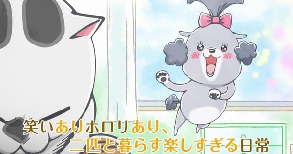 Watch With a Dog AND a Cat, Every Day is Fun - Crunchyroll