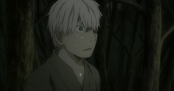 Mushishi A Transcendental Experience  Nerdophiles