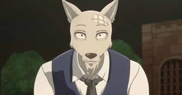 Legosi beastars online anime