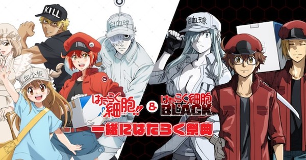 Season 2 release date confirmed, Hataraku Saibou / Cells at Work!