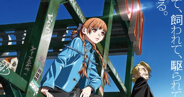 Yasuomi Umetsu, Shaft's Virgin Punk Fashioned Anime Reveals Solid for 1st Legend thumbnail