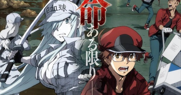 Cells At Work Season 2 review: The benefits of vaccination and probiotics  explained