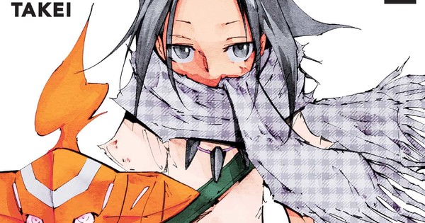 Shaman King The Super Star Manga Goes On Hiatus News Anime News Network