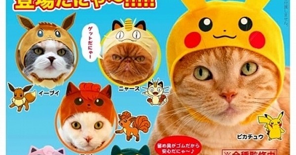 Pokemon Cat Caps Turn Your Pets Into Your Favorite Pocket Monster! – grape  Japan