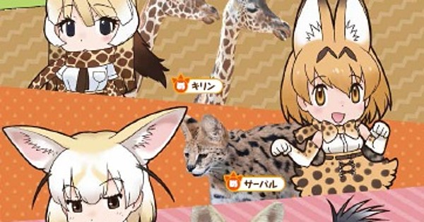 Kemono Friends Collaborates With Zoo That Inspired Franchise - Interest ...