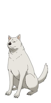 Inu.png