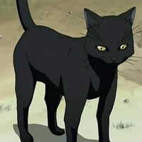 Gia's List: 9 Bizarre Anime Cats from Another Universe - Anime News Network