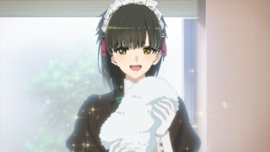 msservant-towels.png