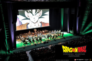 dbsa-canada-ticketing-site-v2.png