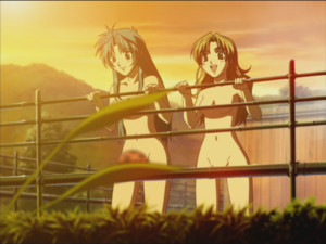Poll Answers the Question: Which Hot Spring Episodes Bring the Goods