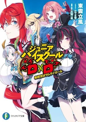 Junior high school DxD novel volume 1 Japanese cover