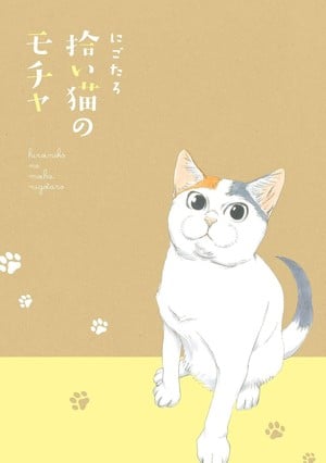 Cover for Mocha the Cat & His Forever Family