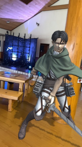 levi-3d