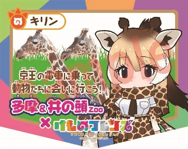 Kemono Friends Collaborates With Zoo That Inspired Franchise - Interest ...