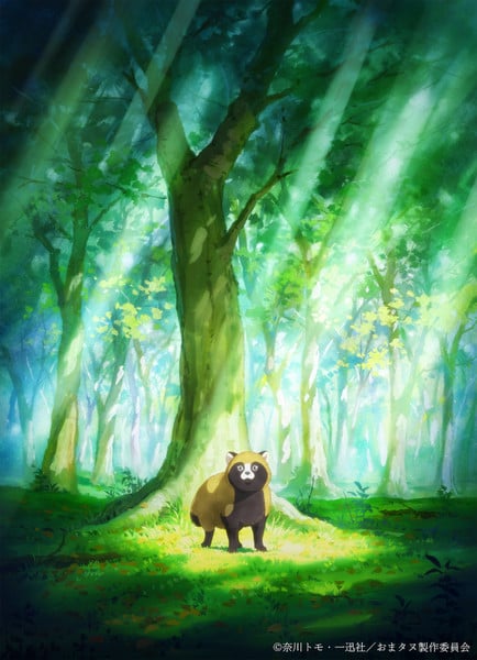 tanuki-teaservisual