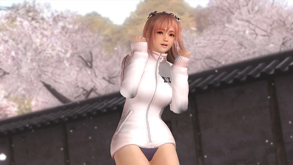 Senran Kagura Costume Trailer Brings the Bounce to Dead or Alive 5: Last Round - News - Anime ...