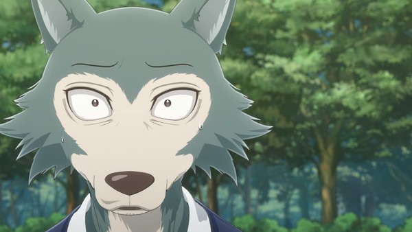 BEASTARS Season 2 - The Summer 2021 Preview Guide - Anime News Network