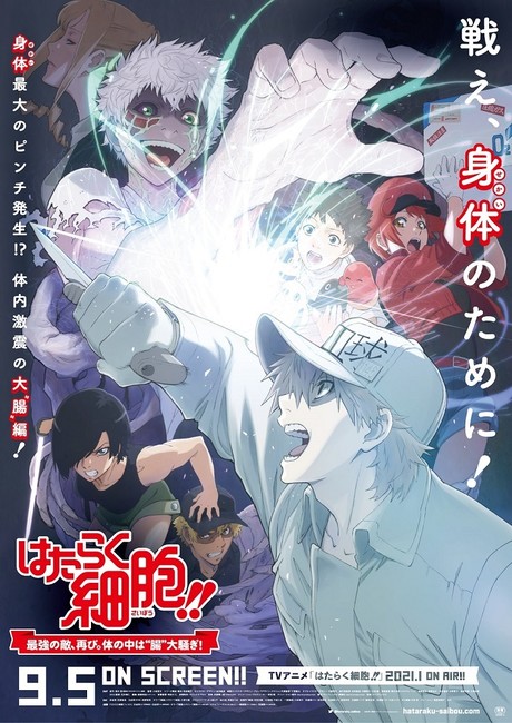 Cells At Work Theatrical Anime Reveals Video Visual More Cast Up Station Philippines