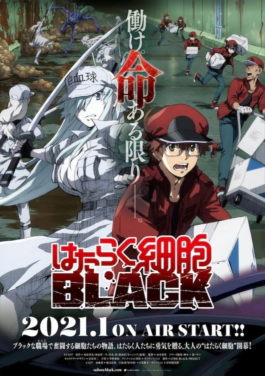 Cells at Work! Code Black TV Anime's 1st Video Narrated by Kenjiro